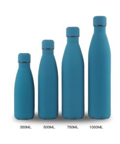bouteille isotherme 1l bleu