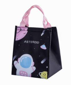 Petit lunch bag asteroid